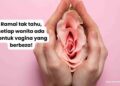 bentuk vagina