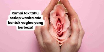 bentuk vagina