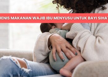 makanan untuk ibu menyusu