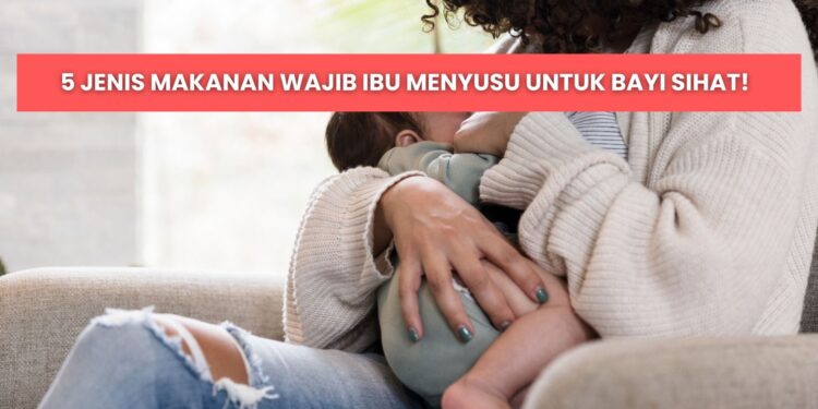 makanan untuk ibu menyusu